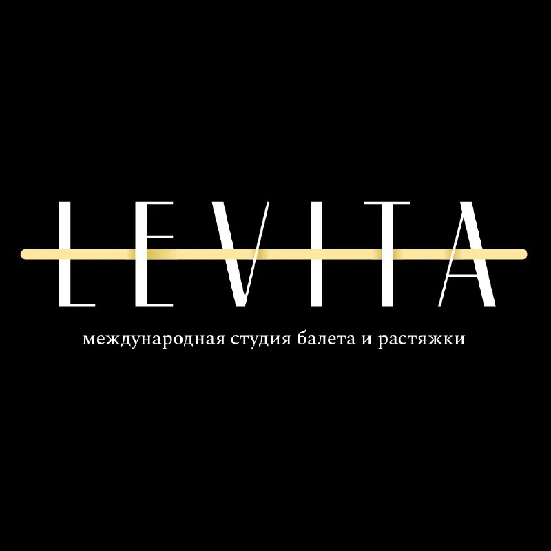 Франшиза LEVITA: сеть студий балета и растяжки